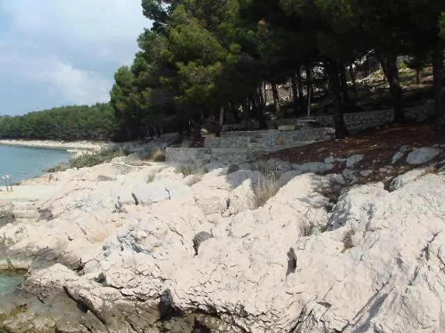 Apartamento Varga Ap4 *